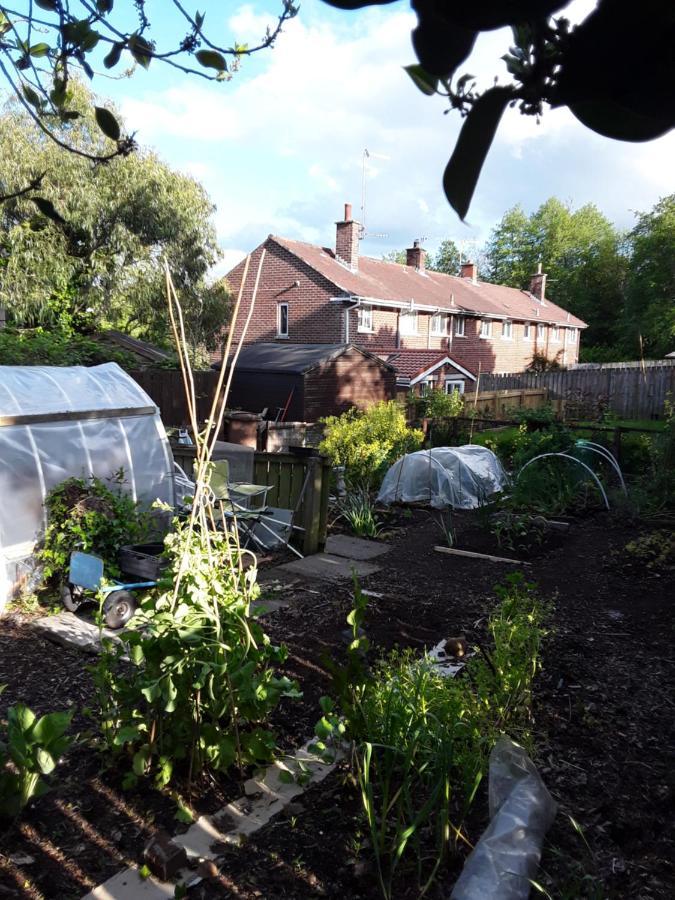 Villa Waveney Belfast Esterno foto