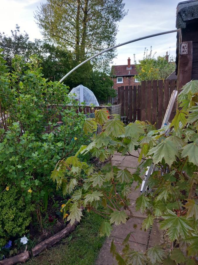 Villa Waveney Belfast Esterno foto