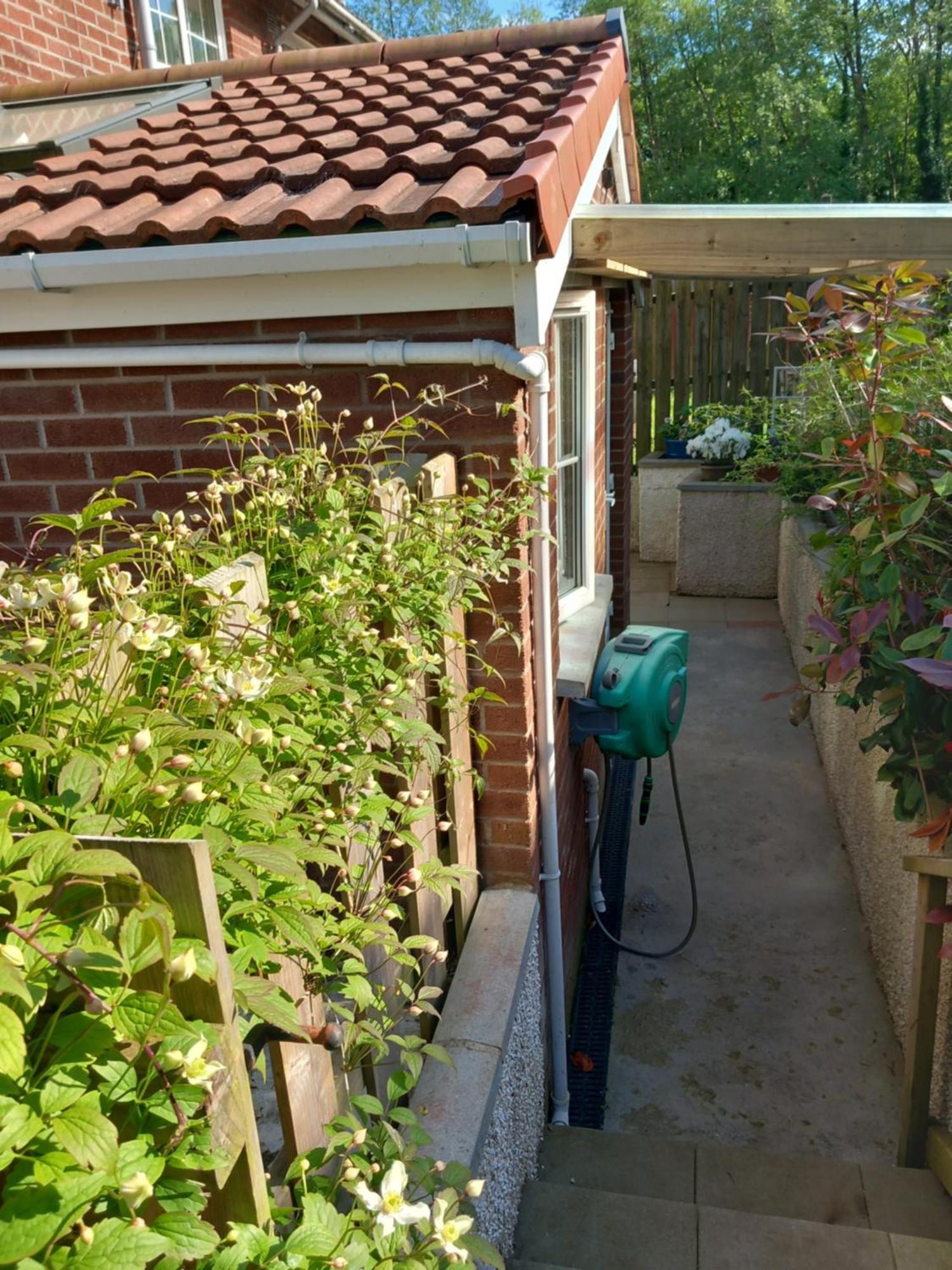 Villa Waveney Belfast Esterno foto